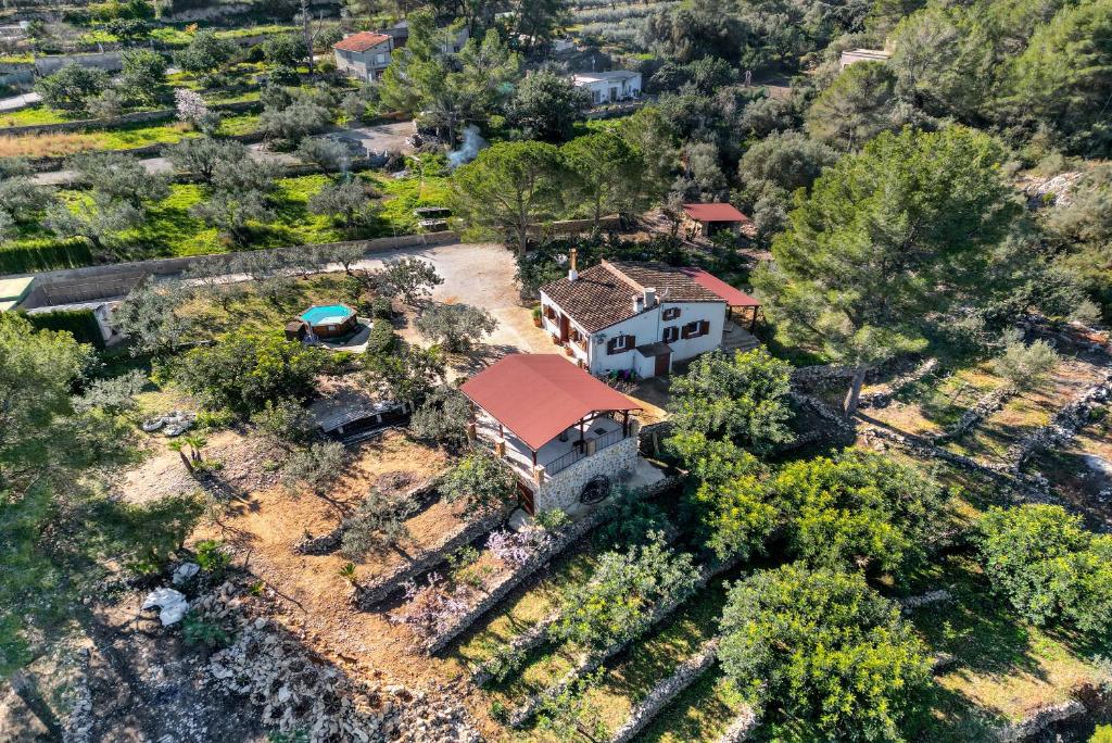 Image of the house 6