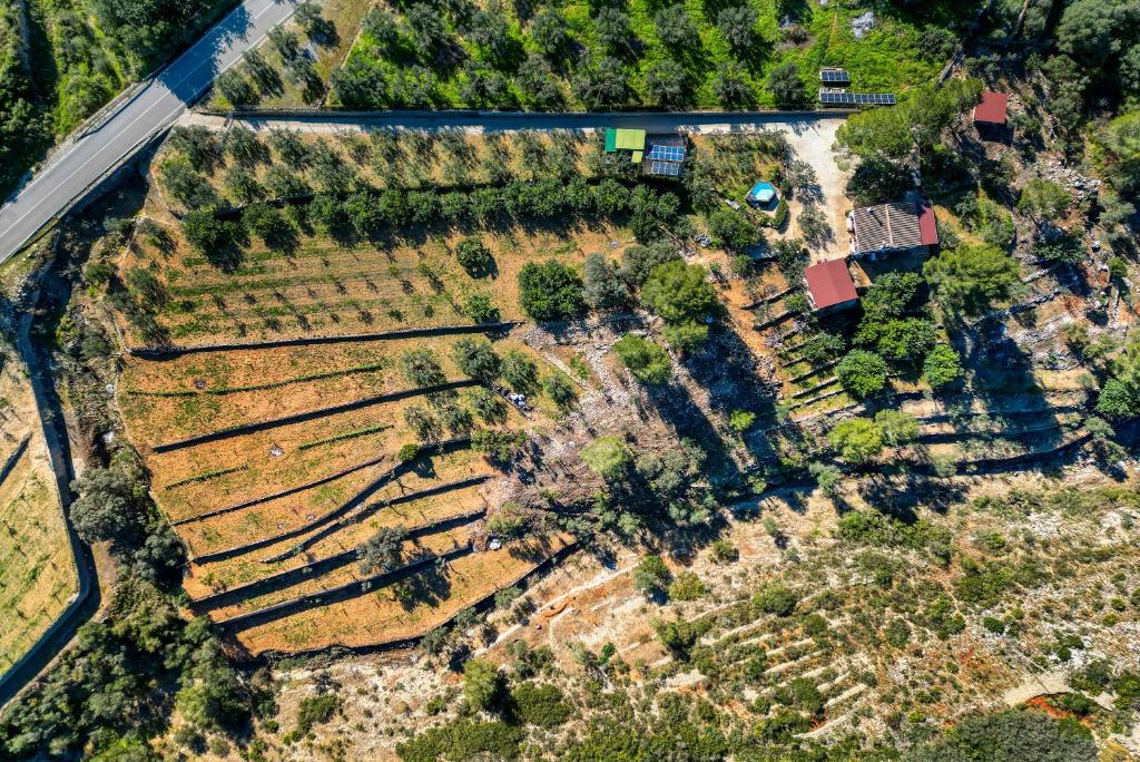 Image of the house 15